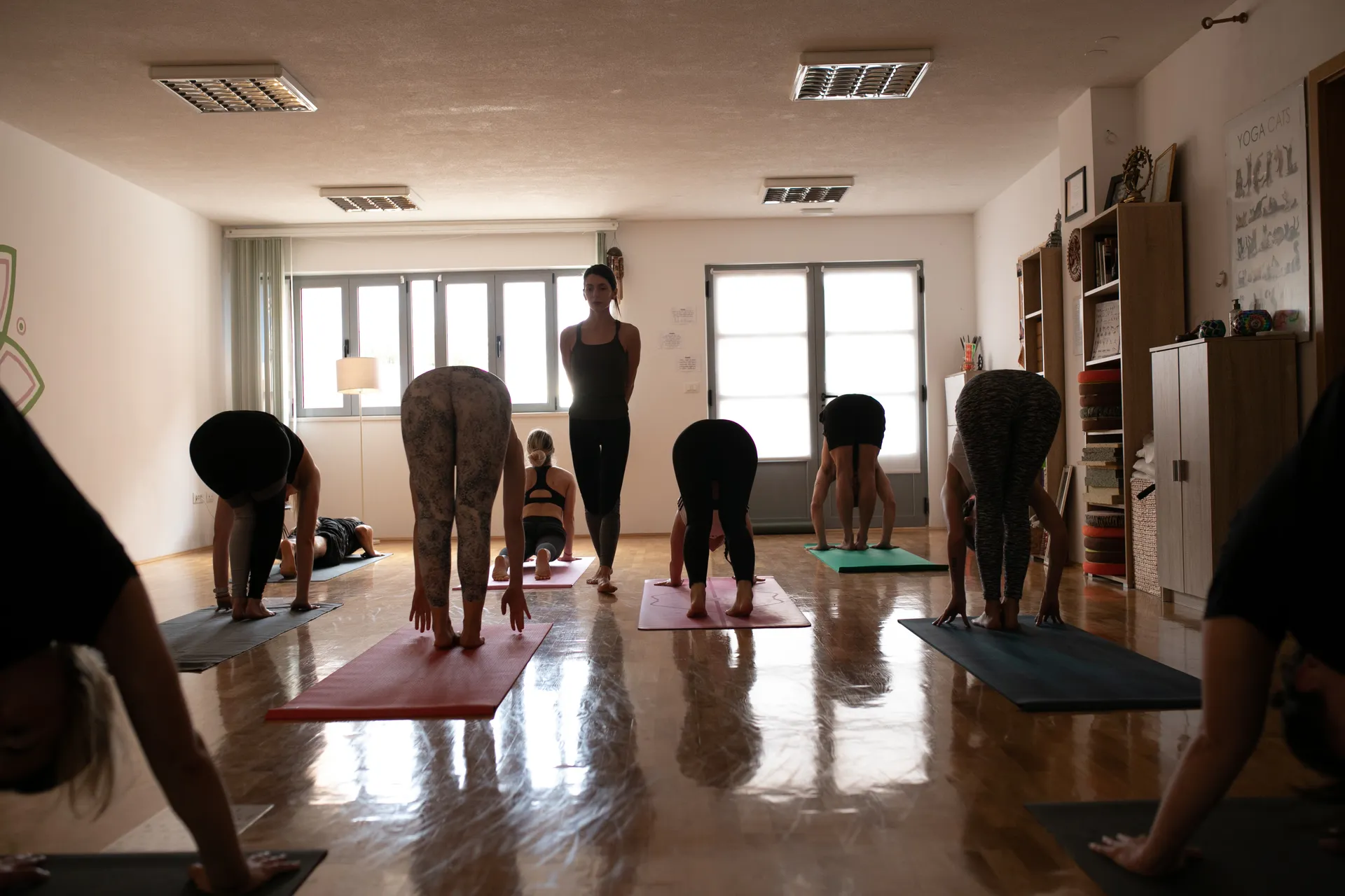 Group yoga session in a sunlit studio